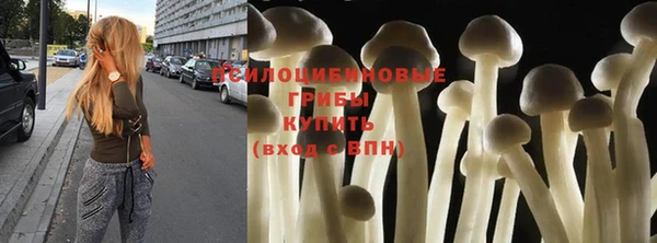 Альфа ПВП Алзамай